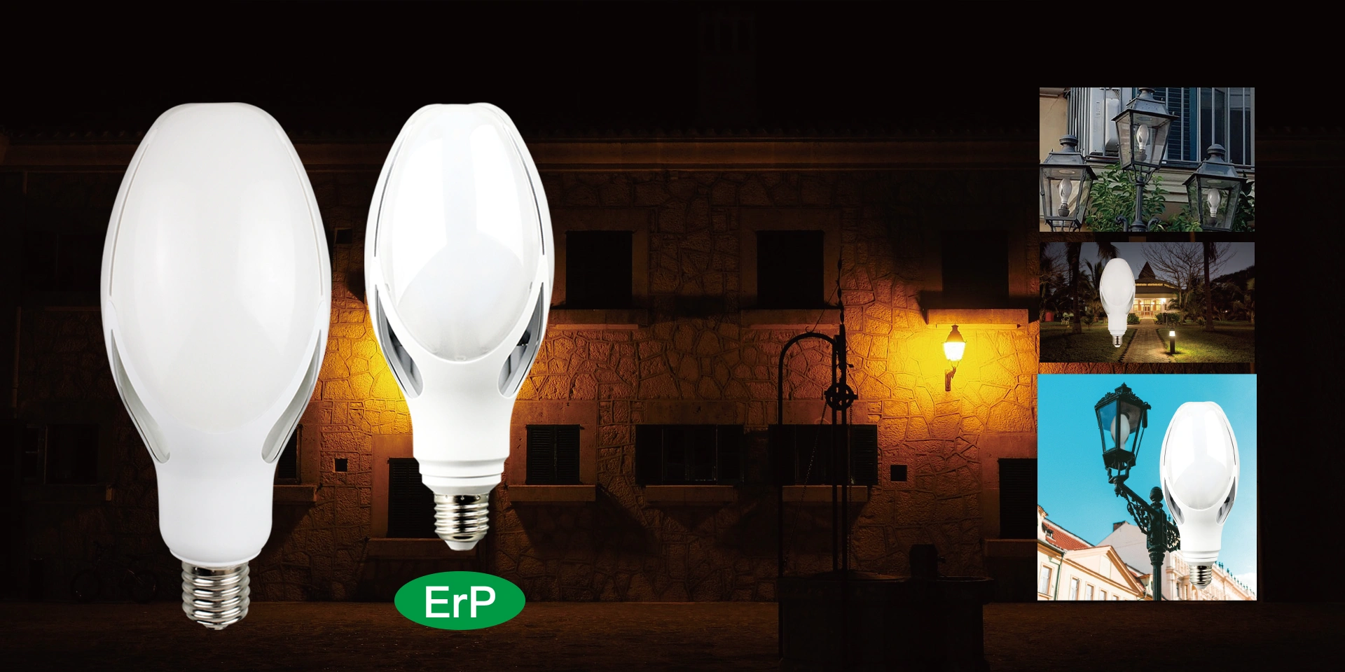 LED ED BULB